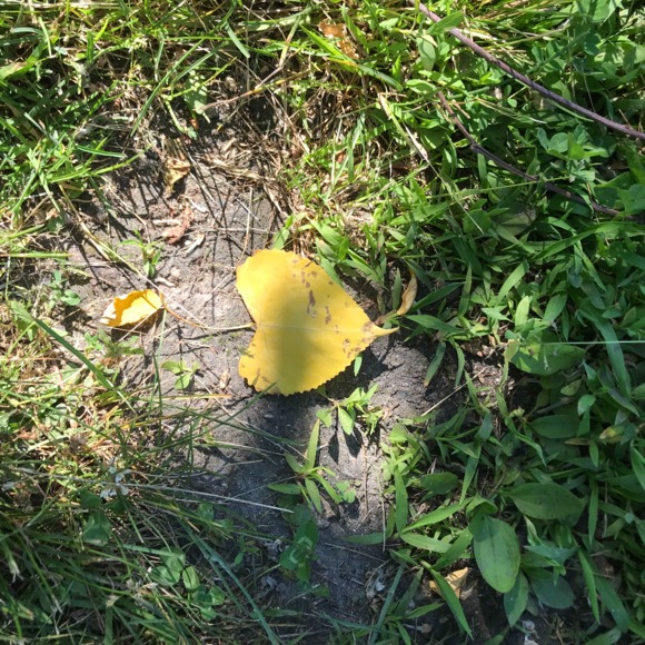 Meet your Posher, Marie - Picture 1 of 1